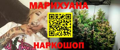 амф Новозыбков