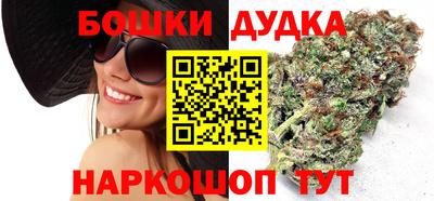 индика Обнинск